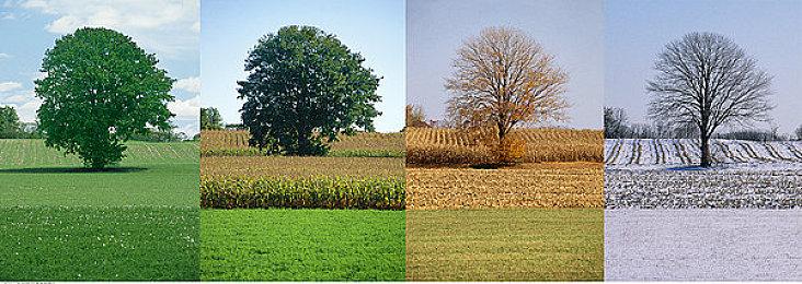 《兽人必须死！3》新DLC“冻眼逼人”现已上线Steam 售价32元