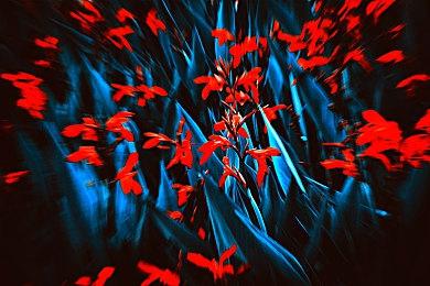 《糖豆人》联动《海绵宝宝》预告 多款皮肤限时推出