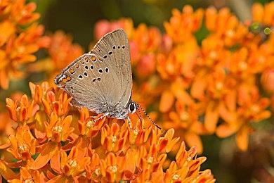 基地建造游戏《数据战争》Steam页面上线 支持简体中文